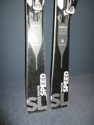 Športové lyže DYNASTAR SPEED MASTER SL 19/20 173cm, SUPER STAV